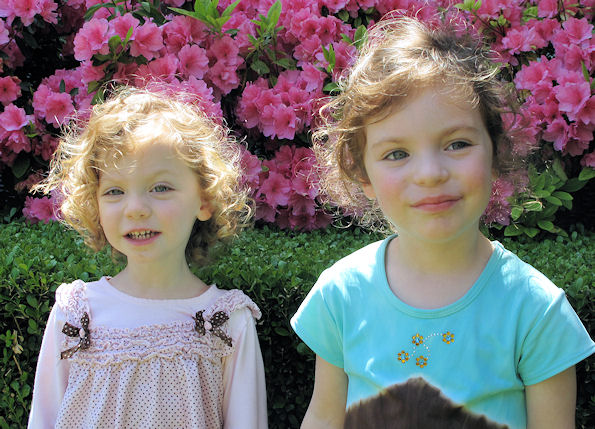 bloom.jpg.... Ella-Rose Turns 4