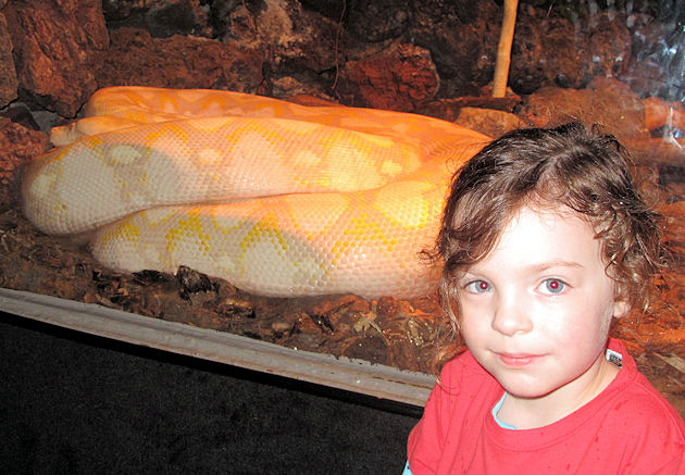 zootrip8.jpg.... Ella-Rose Turns 4
