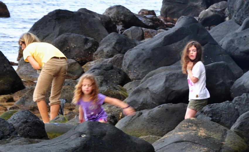 2011-11-035.jpg