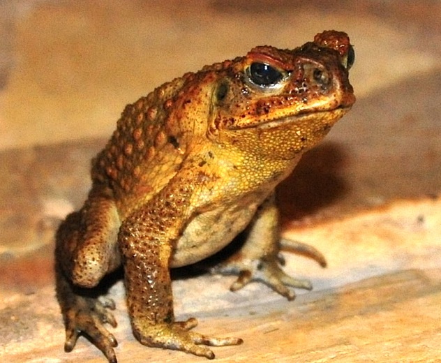 2011-11-039.jpg