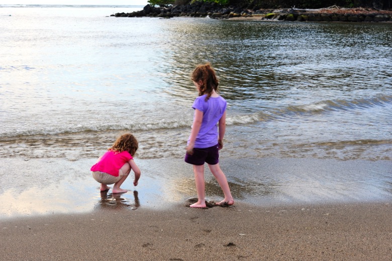 2011-11-063.jpg