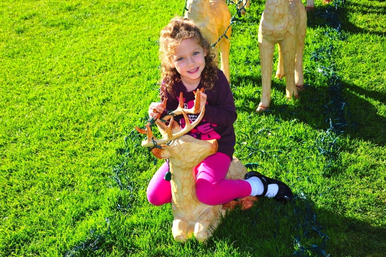 2011-12-048.jpg
