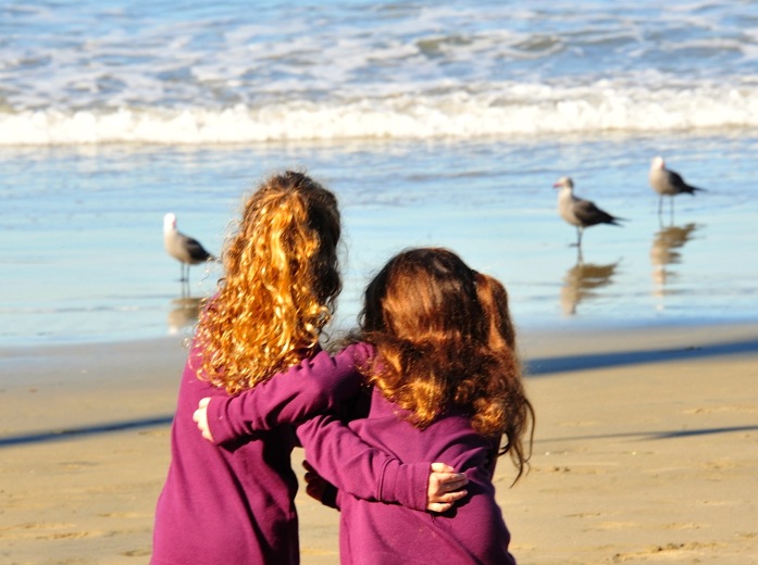 2011-12-049.jpg