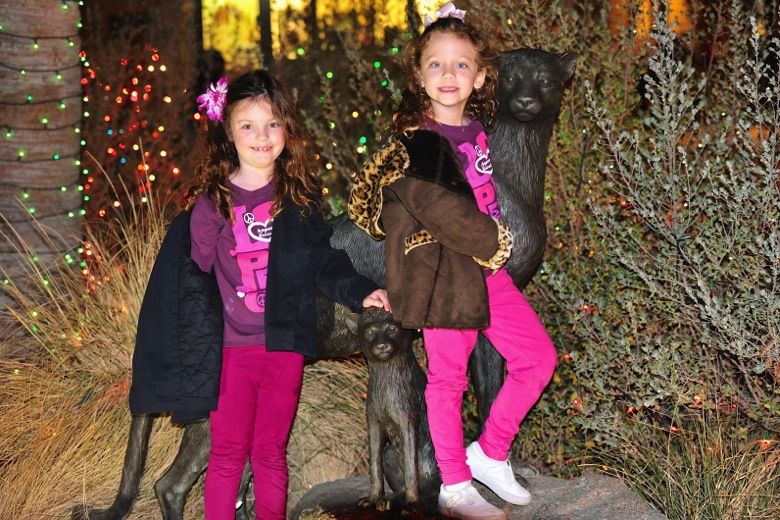 2011-12-094.jpg