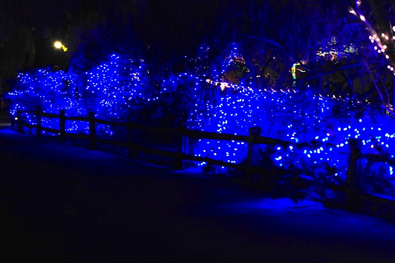 2011-12-095.jpg
