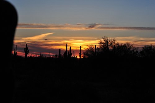 DSC_3403.jpg